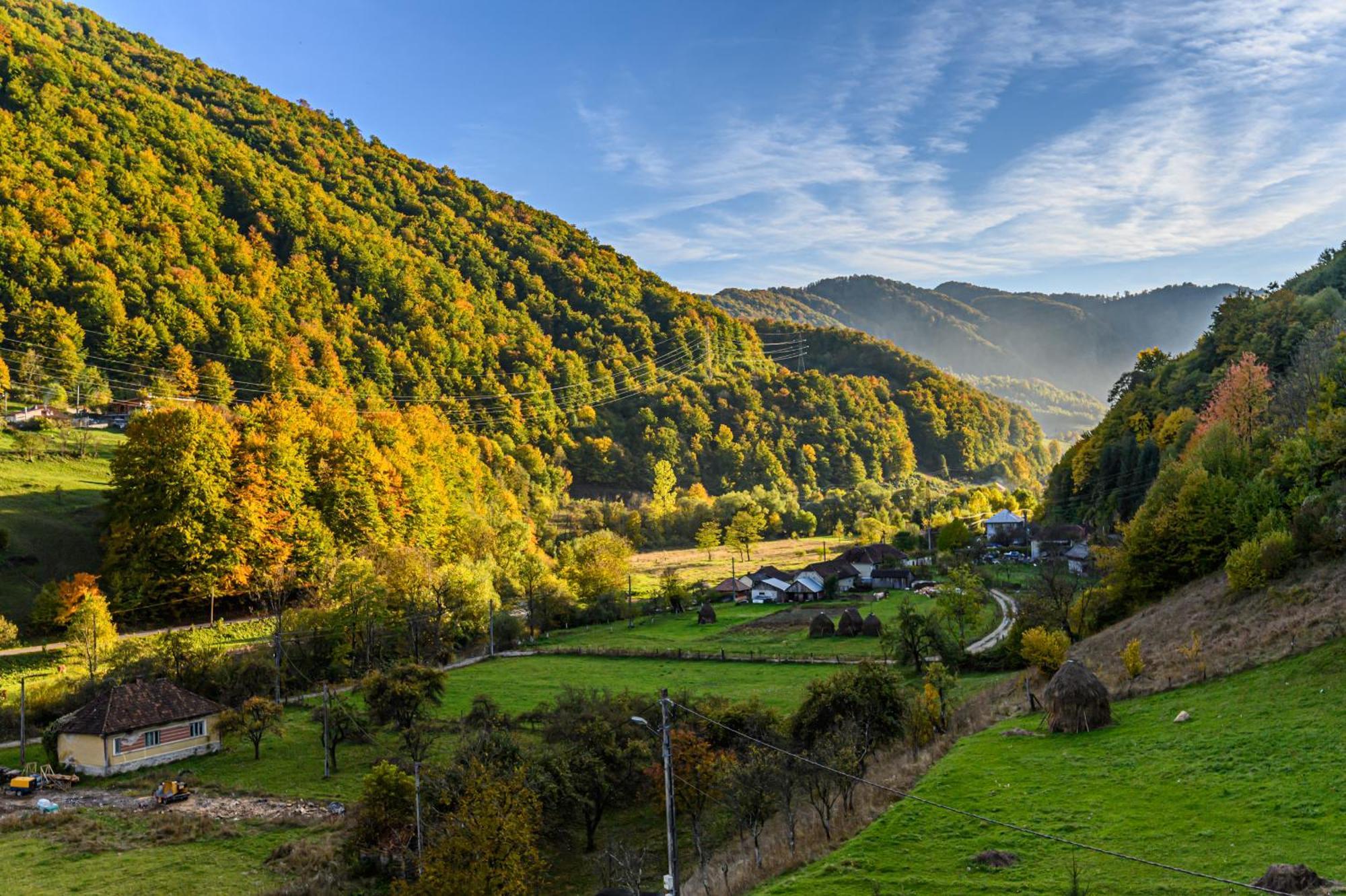 Pensiunea Apuseni Wild Ремеци Экстерьер фото